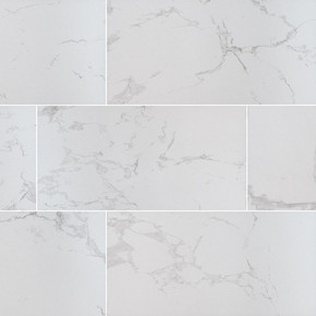 MS International Praia Series: Carrara 12X24 Matte Porcelain Tile NPRACAR1224