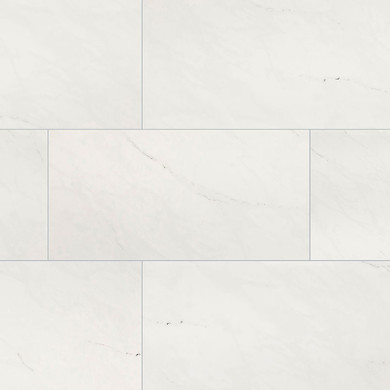 MS International Aria Series: 24x48 Ice Polished Porcelain Tile NARICE2448P