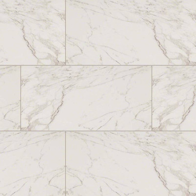 MS International Pietra Series: 2x2 Carrara Matte Porcelain Tile NCAR2X2-N