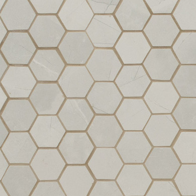 MS International Sande Series: 2x2 Ivory Matte Porcelain Tile NSANIVO2X2HEX