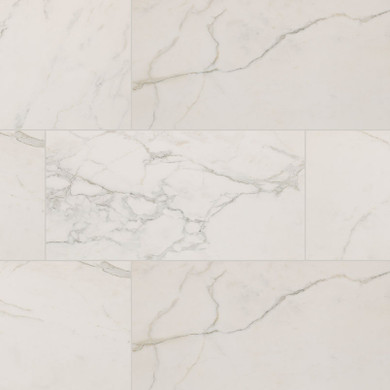 MS International Regallo Series: 24x48 Calacatta Isla Matte Porcelain Tile NREGCALISL2448