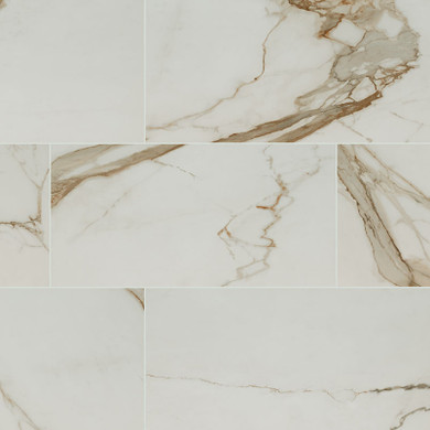 MS International Regallo Series: 12x24 Calacatta Marbella Matte Porcelain Tile NREGCALMAR1224