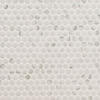 MS International Porcelain Series: Carrara Matte Penny Round Matte Tile SMOT-PT-PENRD-CARM