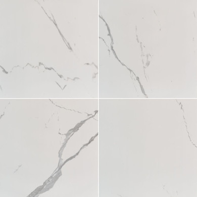 MS International Eden Series: Statuario 24X24 Matte Porcelain Tile NEDESTA2424