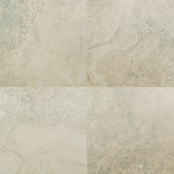 MS International Legend Series: 20x20 Grey Matte Porcelain Tile NLEGGRE2020