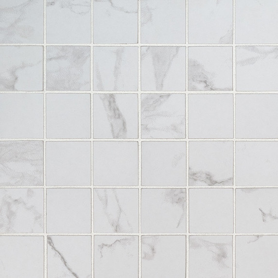 MS International Praia Carrara Series: 2X2 Matte Porcelain Mosaic Tile NPRACAR2X2