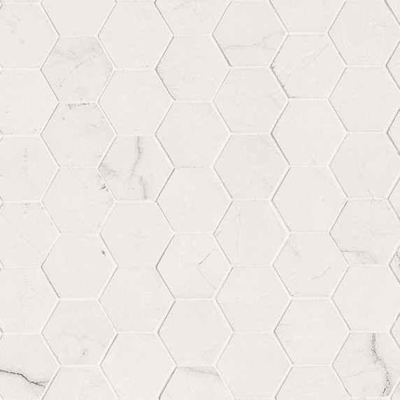 MS International Brighton Series: Grey 2x2 Polished Porcelain Tile NBRIGRE2X2HEXP MS International Brighton Series: Grey 2x2 Polished Porcelain Tile NBRIGRE2X2HEXP