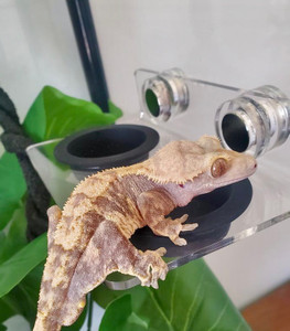 Magnetic Feeding Ledge