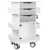 AL-93797 | CORE DX CART W/ HINGED DOOR 3-TOTAL LOCKING DRAWERS