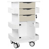 AL-93797 | CORE DX CART W/ HINGED DOOR 3-TOTAL LOCKING DRAWERS