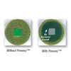 AL-70965 | 5" ANTI-MICROBIAL RIGID CASTER 4" X 4-1/2" TOP PLATE, DELRIN