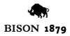 Bison 1879