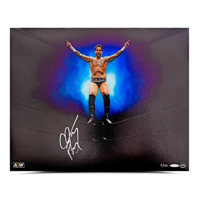 CM Punk Signed Autographed 16x20 Photo Top Rope UDA AEW All Elite Wrestling /50