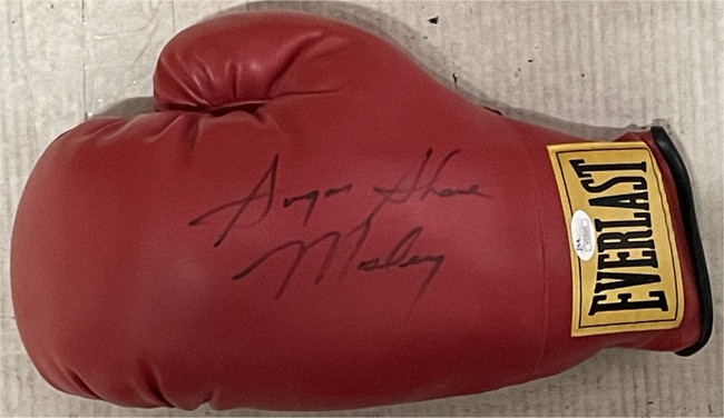 Sugar Shane Mosley Autographed Everlast Boxing Glove 3 Weight Class Champ JSA