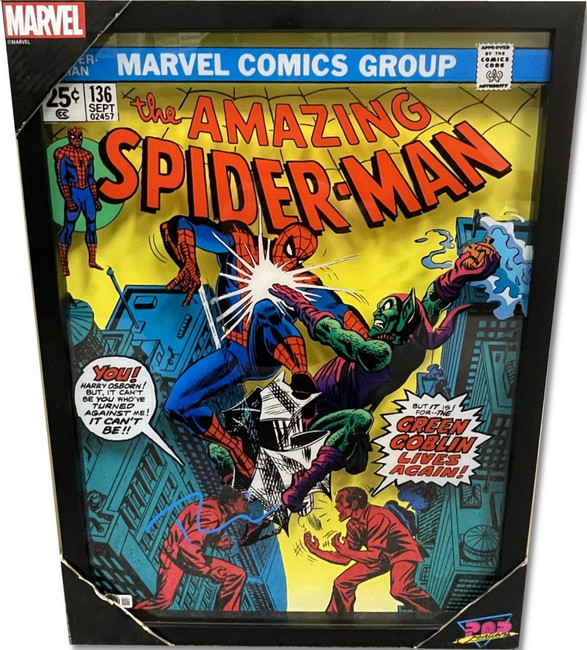 Tobey Maguire Signed Stained Glass Art The Amazing Spider-Man Framed BAS AE16226