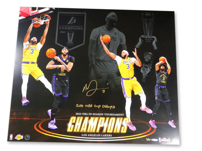 Anthony Davis Autographed 20X24 Photo "Championship Resume" 3/25 Inscribed UDA