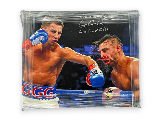 Gennady Golovkin Signed Autographed 20x24 Canvas Triple GGG Online Authentics
