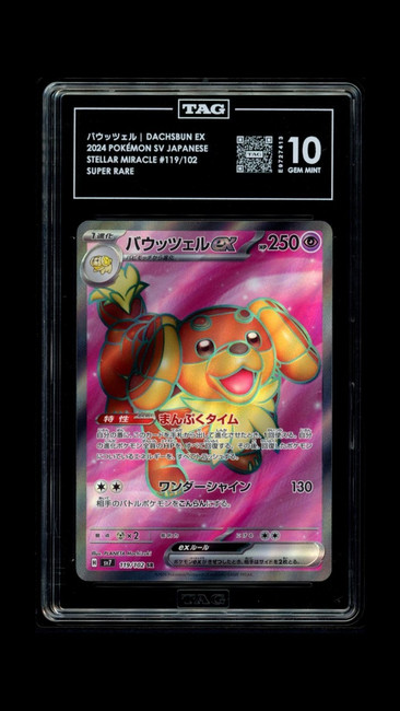 Dachsbun EX 119/102 Pokemon 2024 Stellar Miracle TAG 10 Gem E9727413 Japanese