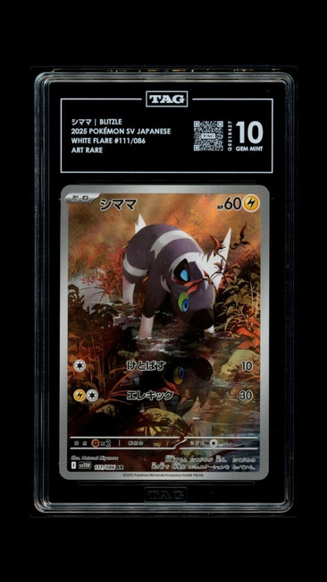 Blitzle 111/086 Pokemon 2025 White Flare Graded TAG 10 Gem Q5215427 Japanese