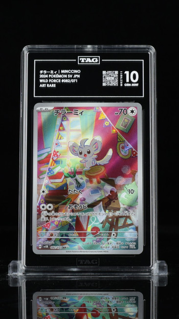 Minccino 082/071 Pokemon 2024 Wild Force Graded TAG 10 Gem M6276611 Japanese