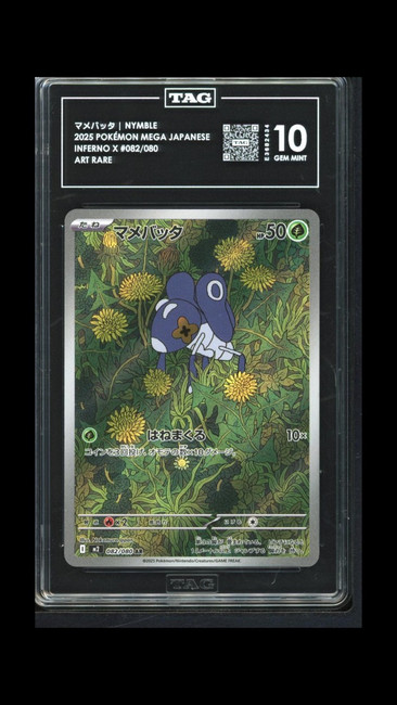 Nymble 082/080 Pokemon 2025 Inferno X Graded TAG 10 Gem Mint E3682434 Japanese