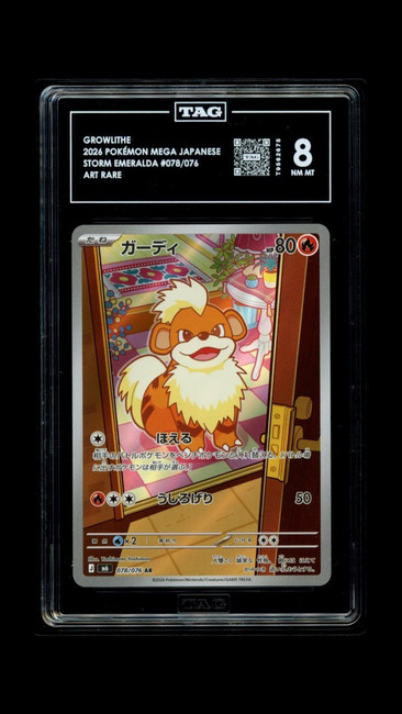 Growlithe 078/076 Pokemon 2026 Storm Emeralda TAG 8 NM MT T9562675 Japanese