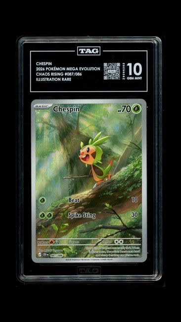Chespin 087/086 Pokemon 2026 Chaos Rising Graded TAG 10 Gem Mint Z9396202