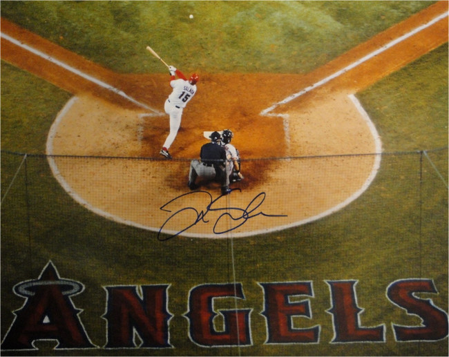 Tim Salmon Hand Signed Autographed 16x20 Photo Anaheim Angels At Home Big Swing