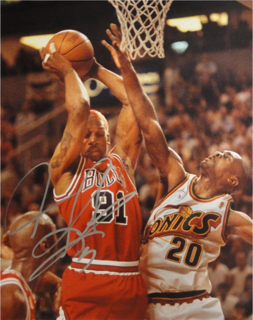 Dennis Rodman Hand Signed Autographed 16x20 Photo Chicago Bulls VS Sonics