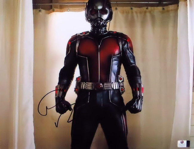 Paul Rudd Signed Autographed 11X14 Photo Ant-Man Suit on in Shower GV842241