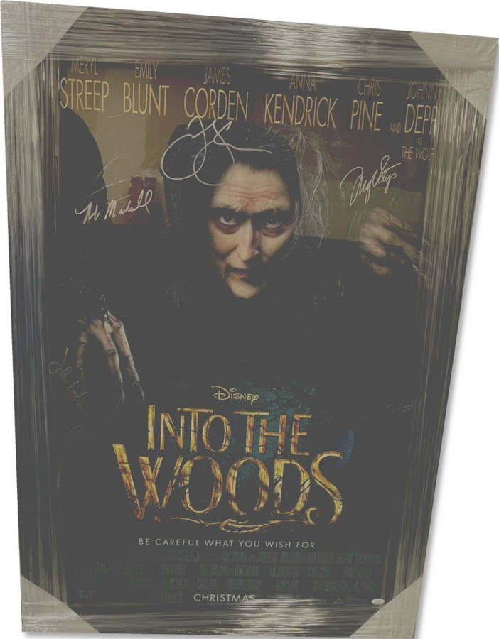 Into The Woods Autographed Cast Poster Meryl Streep Emily Blunt +8 Framed JSA