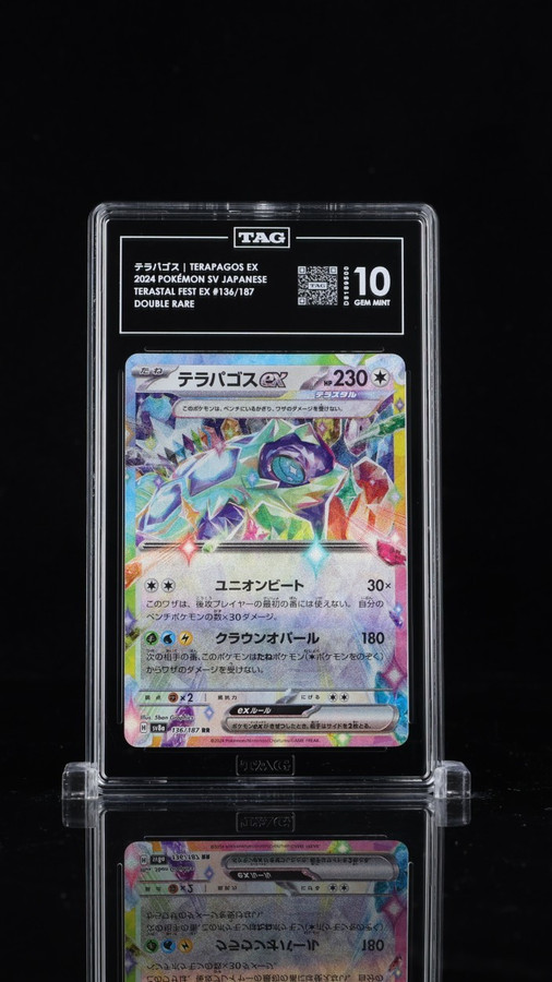 Terapagos EX 136/187 Pokemon 2024 Terastal Fest EX TAG 10 Gem D8189500 Japanese