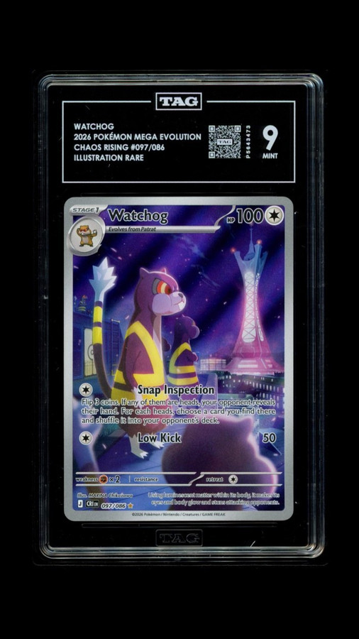 Watchog 097/086 Pokemon 2026 Chaos Rising Graded TAG 9 Mint P5643473