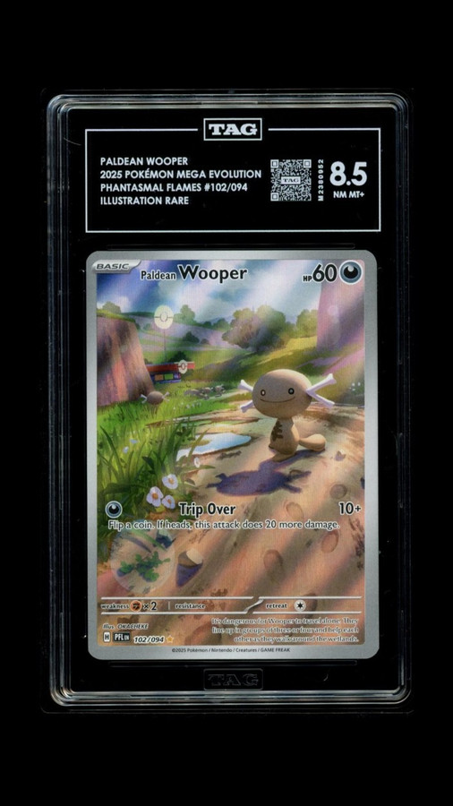 Paldean Wooper 102/094 Pokemon 2025 Phantasmal Flames Graded TAG 8.5 M2380952