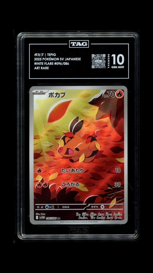 Tepig 096/086 Pokemon 2025 White Flare Graded TAG 10 Gem Mint Y4538398 Japanese