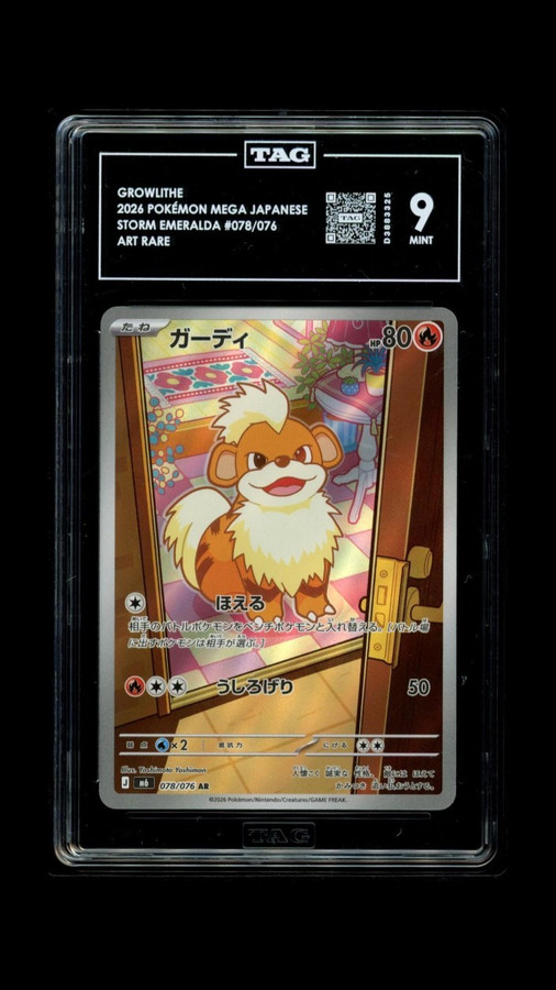 Growlithe 078/076 Pokemon 2026 Storm Emeralda TAG 9 Mint D3883325 Japanese