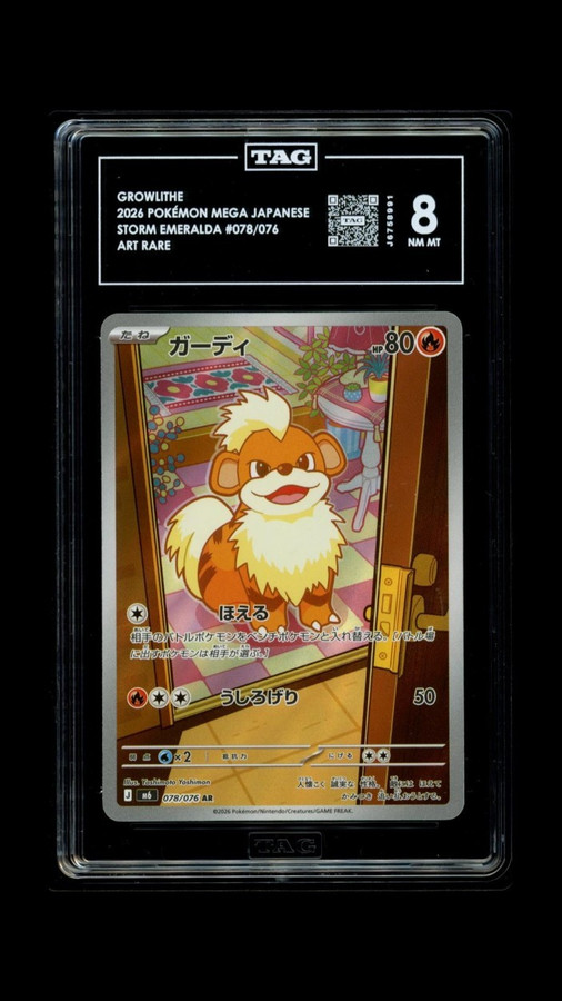 Growlithe 078/076 Pokemon 2026 Storm Emeralda TAG 8 NM MT J6758991 Japanese