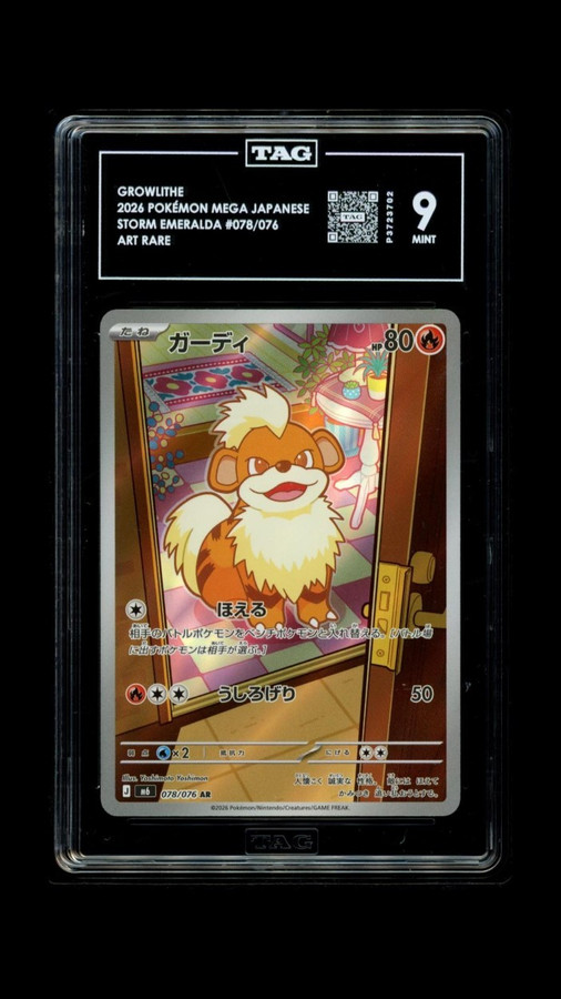 Growlithe 078/076 Pokemon 2026 Storm Emeralda TAG 9 Mint P3723702 Japanese