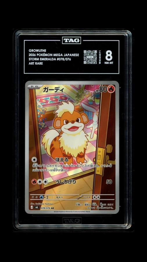 Growlithe 078/076 Pokemon 2026 Storm Emeralda TAG 8 NM MT W8369671 Japanese