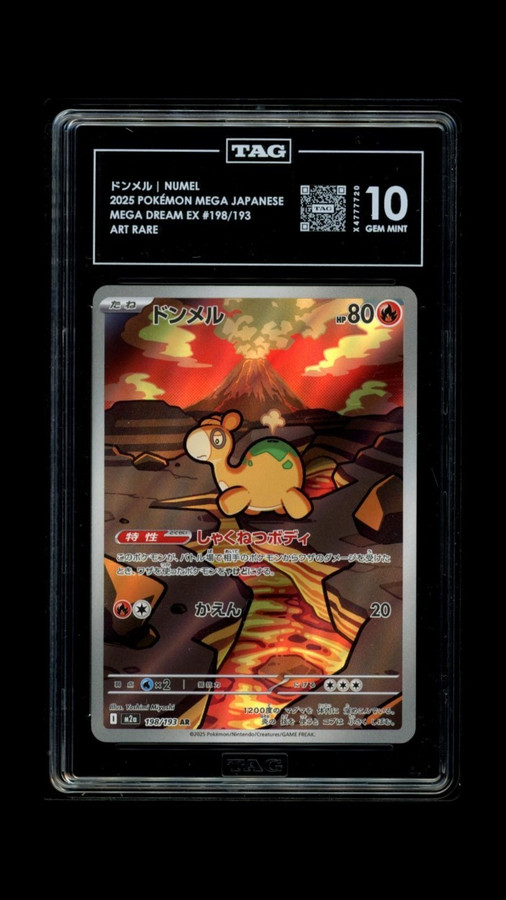 Numel 198/193 Pokemon 2025 Mega Dream EX Graded TAG 10 Gem X4777720 Japanese