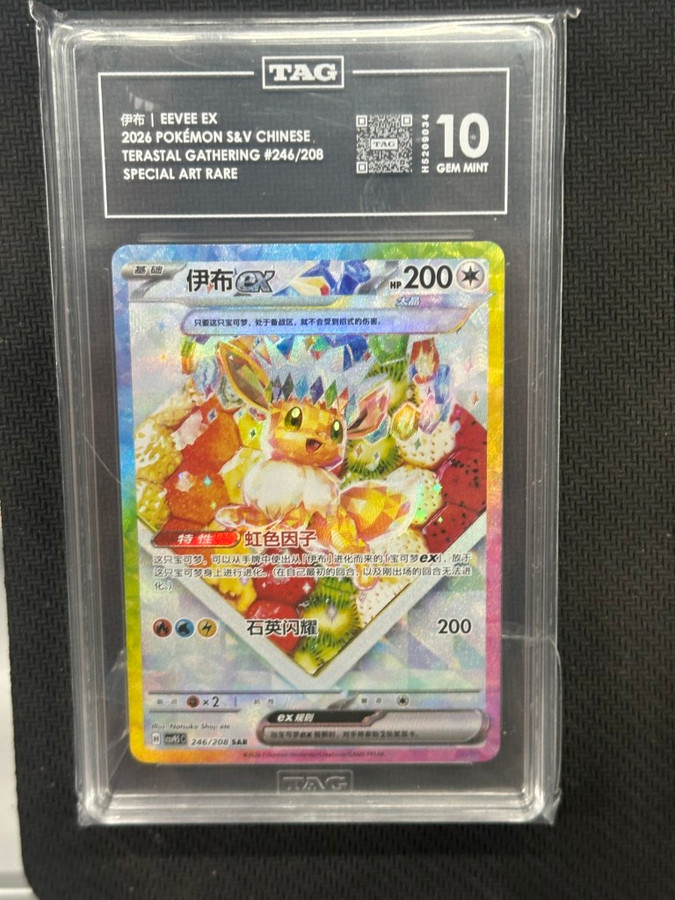 Eevee EX  Pokemon Terastal Gathering Special Art Rare TAG 10 PSA #246/208