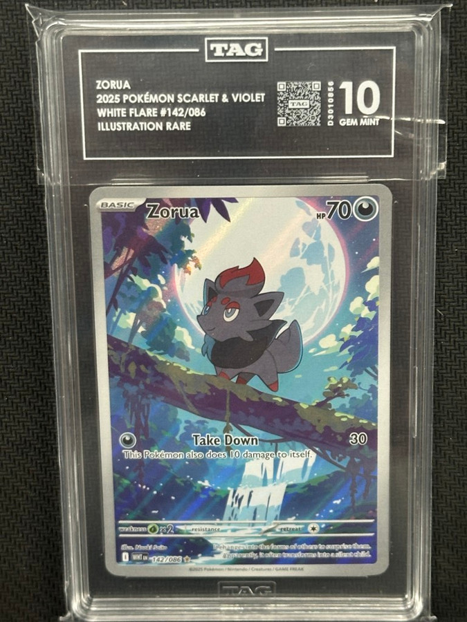 Zorua  Pokemon White Flare Illustration Rare Tag 10 PSA #142/086