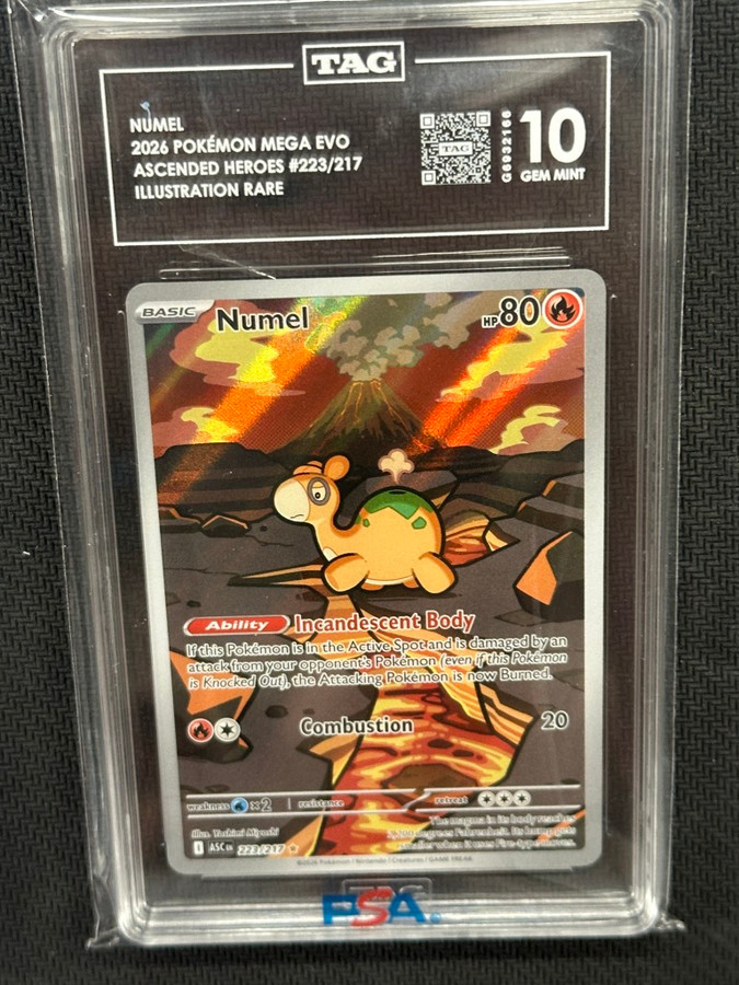 Numel  Pokemon Ascended Heroes Illustration Rare TAG 10 PSA #223/217