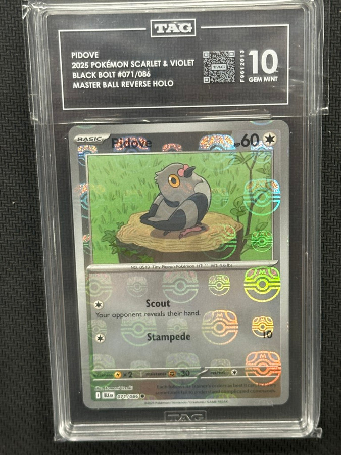 Pidove  Pokemon Black Bolt Master Ball Reverse Holo TAG 10 PSA #071/086