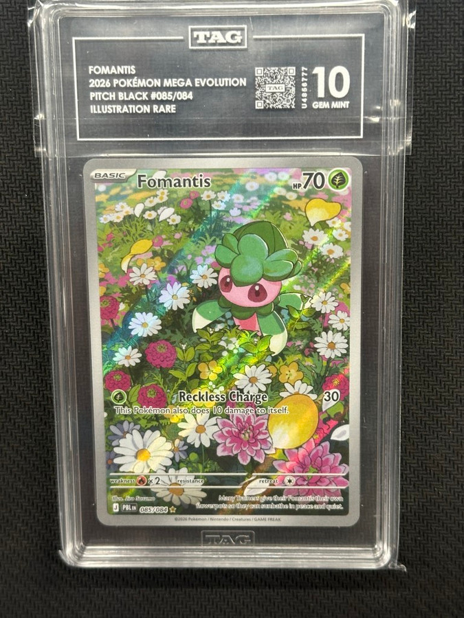 Fomantis  Pokemon Pitch Black Illustration Rare TAG 10 PSA #085/084