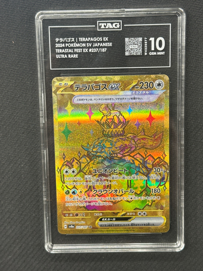 Terapagos EX  Pokemon Terastal Festival Ultra Rare TAG 10 W4329877 PSA #237/187