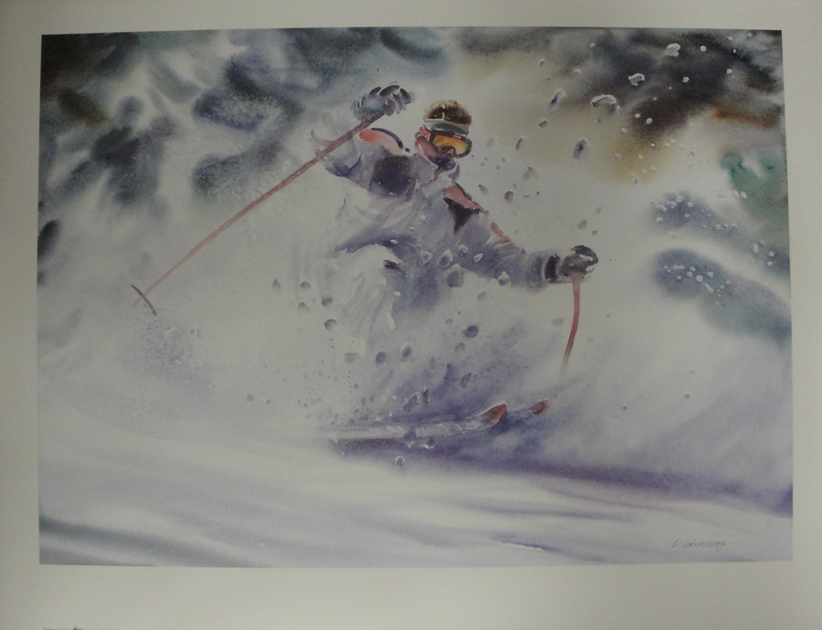 Winter Skier In Heavy Snow Skiing Down Mountain Unsigned 24x30 Poster New