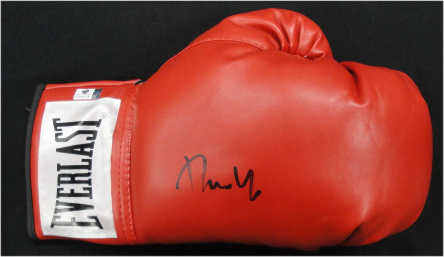 Donnie Yen Hand Signed Autographed Everlast Boxing Glove Fighter GA GV 834796