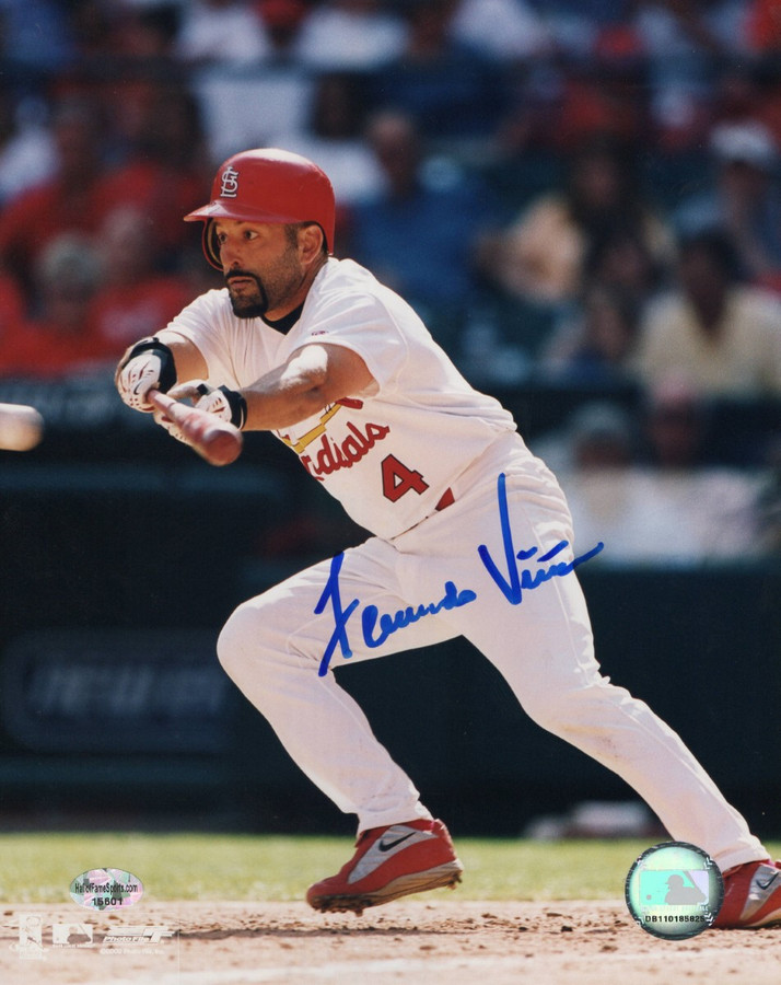Fernando Vina Signed Autographed 8X10 Photo Bunting St. Louis Cardinals w/COA