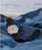 Timex Weekender 38mm Unisex Analog Watch
